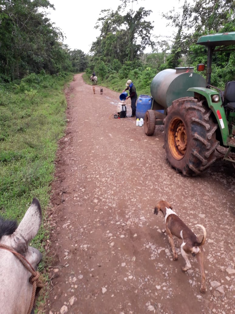 nueva1
